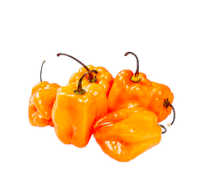 Chile Habanero