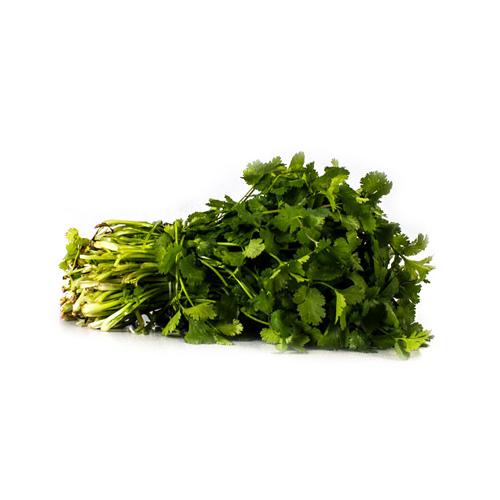 Cilantro