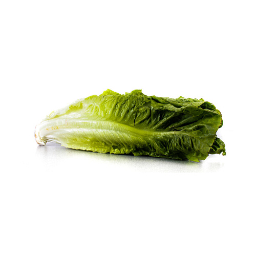 Lechuga Orejona