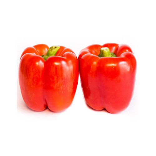 Pimiento Rojo